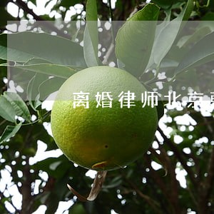 离婚律师北京朝阳 离婚律师北京朝阳