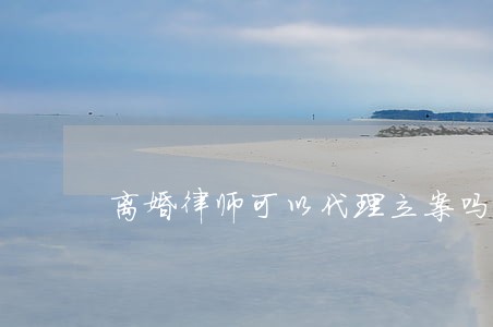 离婚律师可以代理立案吗 离婚律师可以代理立案吗
