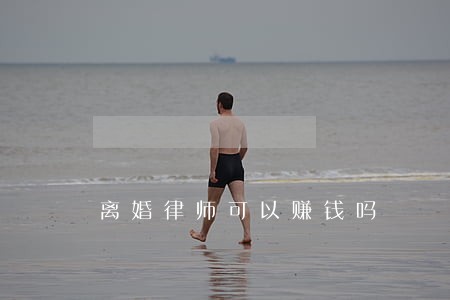 离婚律师可以赚钱吗 离婚律师可以赚钱吗