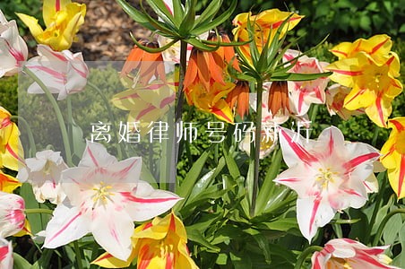 离婚律师号码新沂