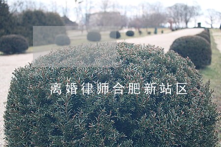 离婚律师合肥新站区 离婚律师合肥新站区
