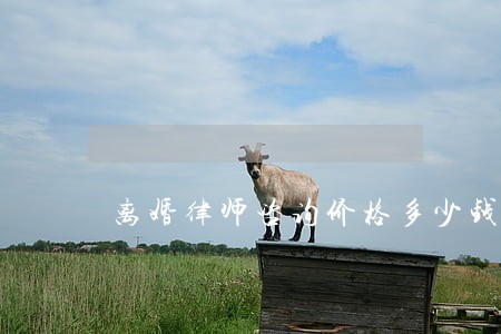 离婚律师咨询价格多少钱 离婚律师咨询价格多少钱