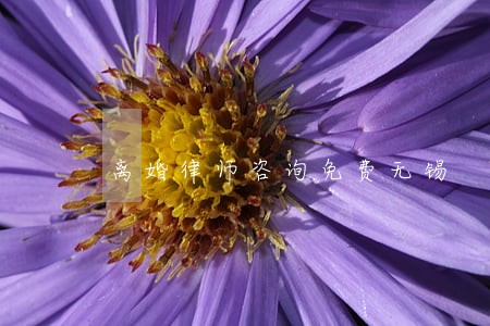 离婚律师咨询免费无锡 离婚律师咨询免费无锡