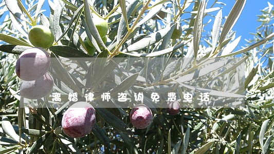 离婚律师咨询免费电话 离婚律师咨询免费电话
