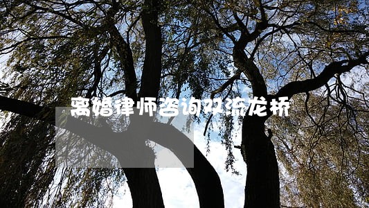 离婚律师咨询双流龙桥 离婚律师咨询双流龙桥