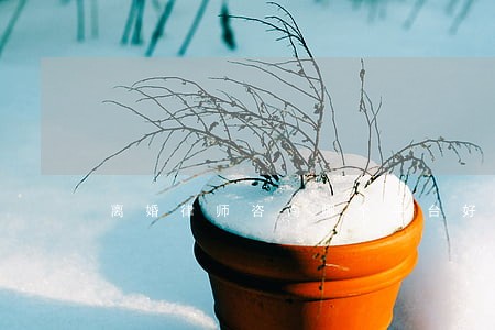 离婚律师咨询哪个平台好 离婚律师咨询哪个平台好