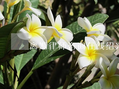 离婚律师咨询在线绍兴市 离婚律师咨询在线绍兴市