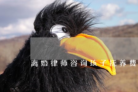 离婚律师咨询孩子抚养费