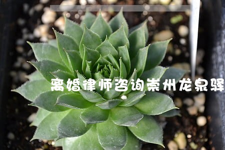 离婚律师咨询崇州龙泉驿 离婚律师咨询崇州龙泉驿