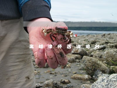 离婚律师咨询烟台 离婚律师咨询烟台