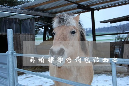 离婚律师咨询电话西安 离婚律师咨询电话西安