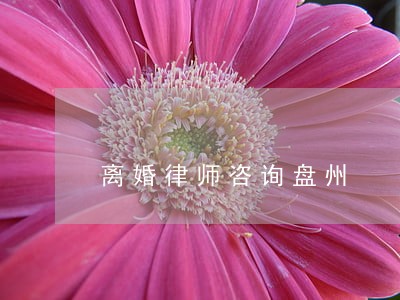 离婚律师咨询盘州 离婚律师咨询盘州