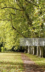 离婚律师咨询费1小时200 离婚律师咨询费1小时200