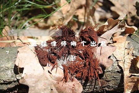 离婚律师哪个出名 离婚律师哪个出名