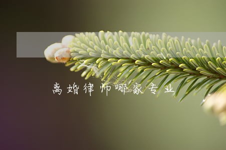 离婚律师哪家专业