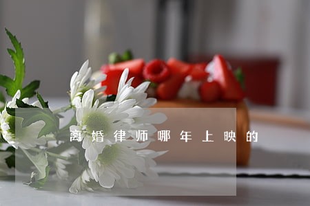 离婚律师哪年上映的 离婚律师哪年上映的