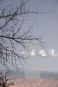 离婚律师在线咨询哪里好 离婚律师在线咨询哪里好