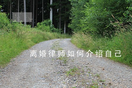 离婚律师如何介绍自己 离婚律师如何介绍自己