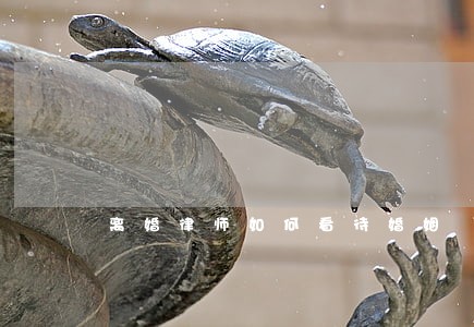 离婚律师如何看待婚姻 离婚律师如何看待婚姻