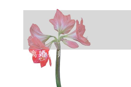 离婚律师委托代理合同 离婚律师委托代理合同