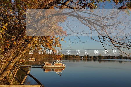 离婚律师姜威视频全集 离婚律师姜威视频全集