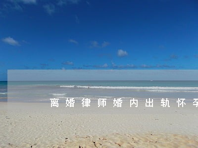 离婚律师婚内出轨怀孕 离婚律师婚内出轨怀孕