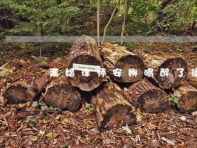 离婚律师安娜喝醉了酒 离婚律师安娜喝醉了酒