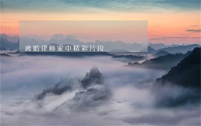 离婚律师家中精彩片段