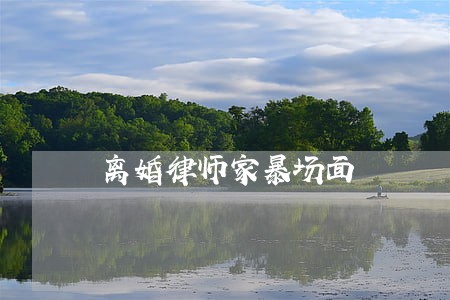 离婚律师家暴场面
