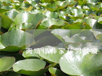 离婚律师家暴男被揍 离婚律师家暴男被揍
