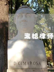 离婚律师广州咨询