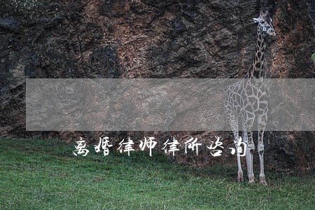 离婚律师律所咨询 离婚律师律所咨询