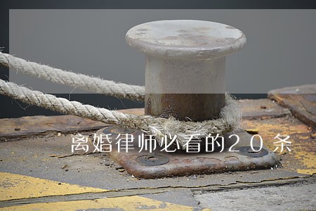 离婚律师必看的20条 离婚律师必看的20条