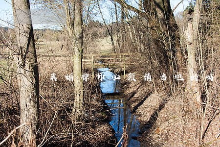 离婚律师必须请当地的吗 离婚律师必须请当地的吗