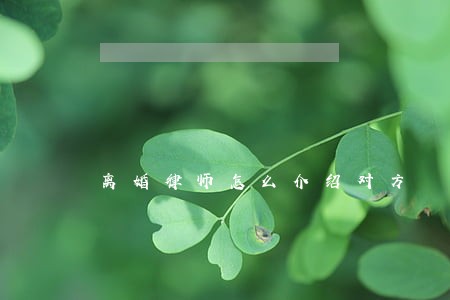 离婚律师怎么介绍对方 离婚律师怎么介绍对方