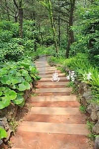 离婚律师怎么免费咨询