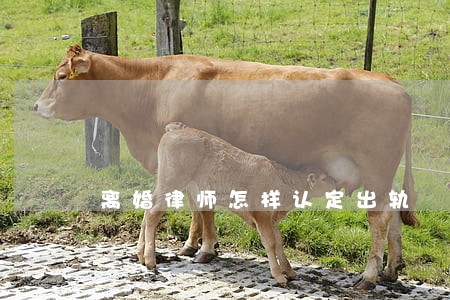 离婚律师怎样认定出轨 离婚律师怎样认定出轨