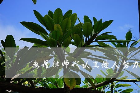 离婚律师我认真做人努力工作