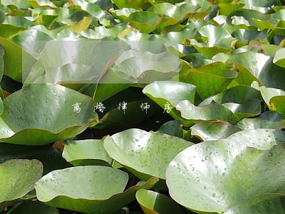 离婚律师房间 离婚律师房间