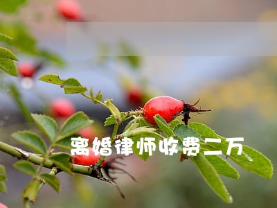 离婚律师收费二万 离婚律师收费二万