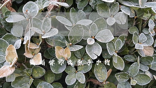 离婚律师收费多少钱 离婚律师收费多少钱