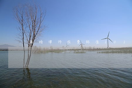 离婚律师收费标准202 离婚律师收费标准202