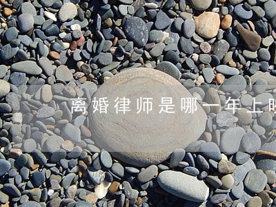 离婚律师是哪一年上映的 离婚律师是哪一年上映的