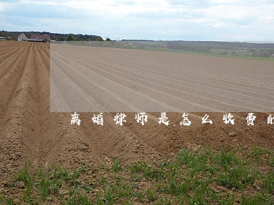 离婚律师是怎么收费的 离婚律师是怎么收费的