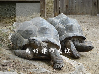 离婚律师是谁 离婚律师是谁