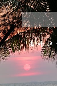 离婚律师最感人的片段 离婚律师最感人的片段