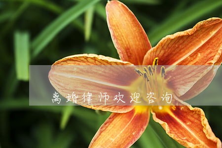 离婚律师欢迎咨询