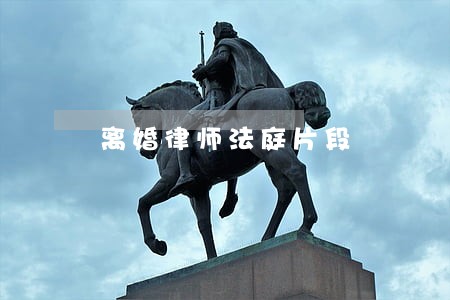 离婚律师法庭片段 离婚律师法庭片段