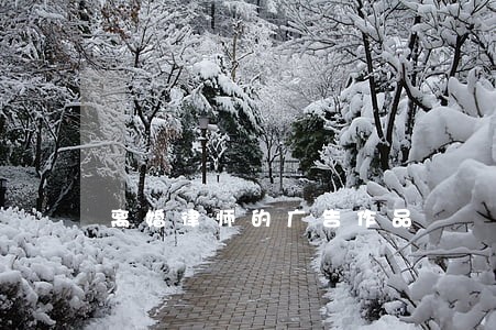 离婚律师的广告作品 离婚律师的广告作品
