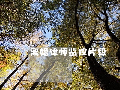 离婚律师监控片段 离婚律师监控片段
